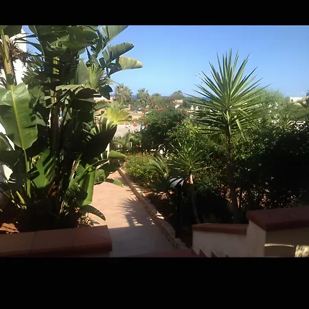 Le Palme *