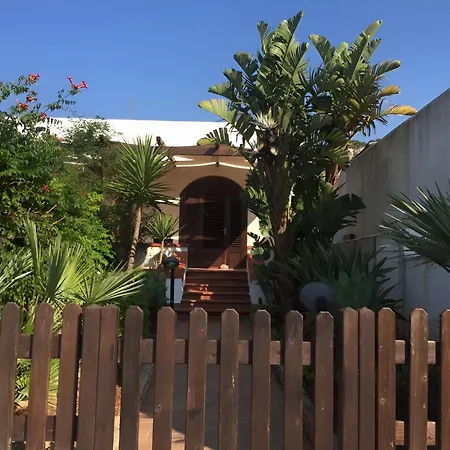 Le Palme